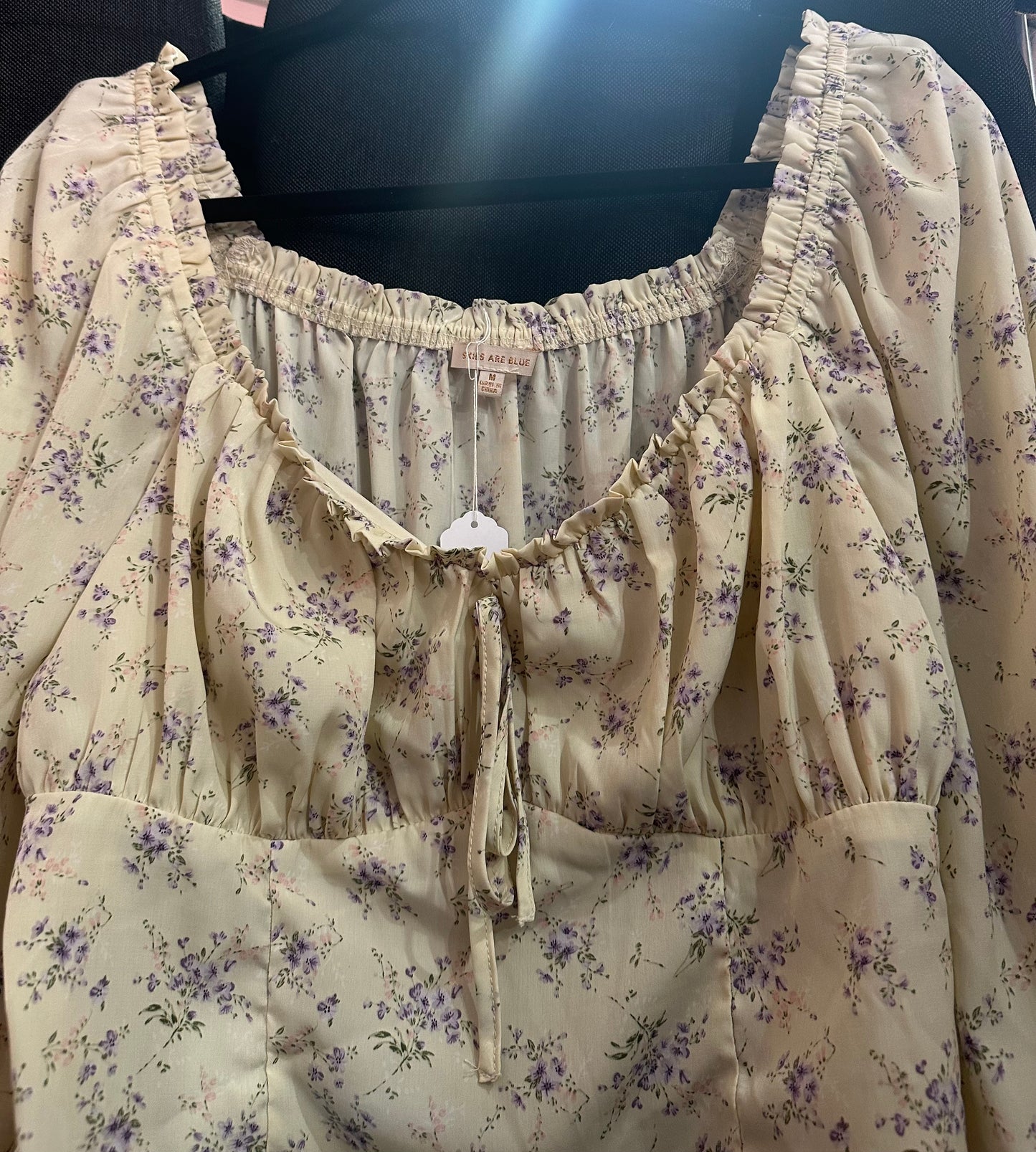 Skies are blue size medium cropped top