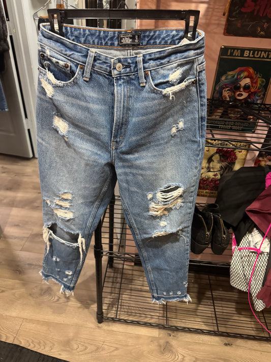 Abercrombie Jeans (Size 26/2R)